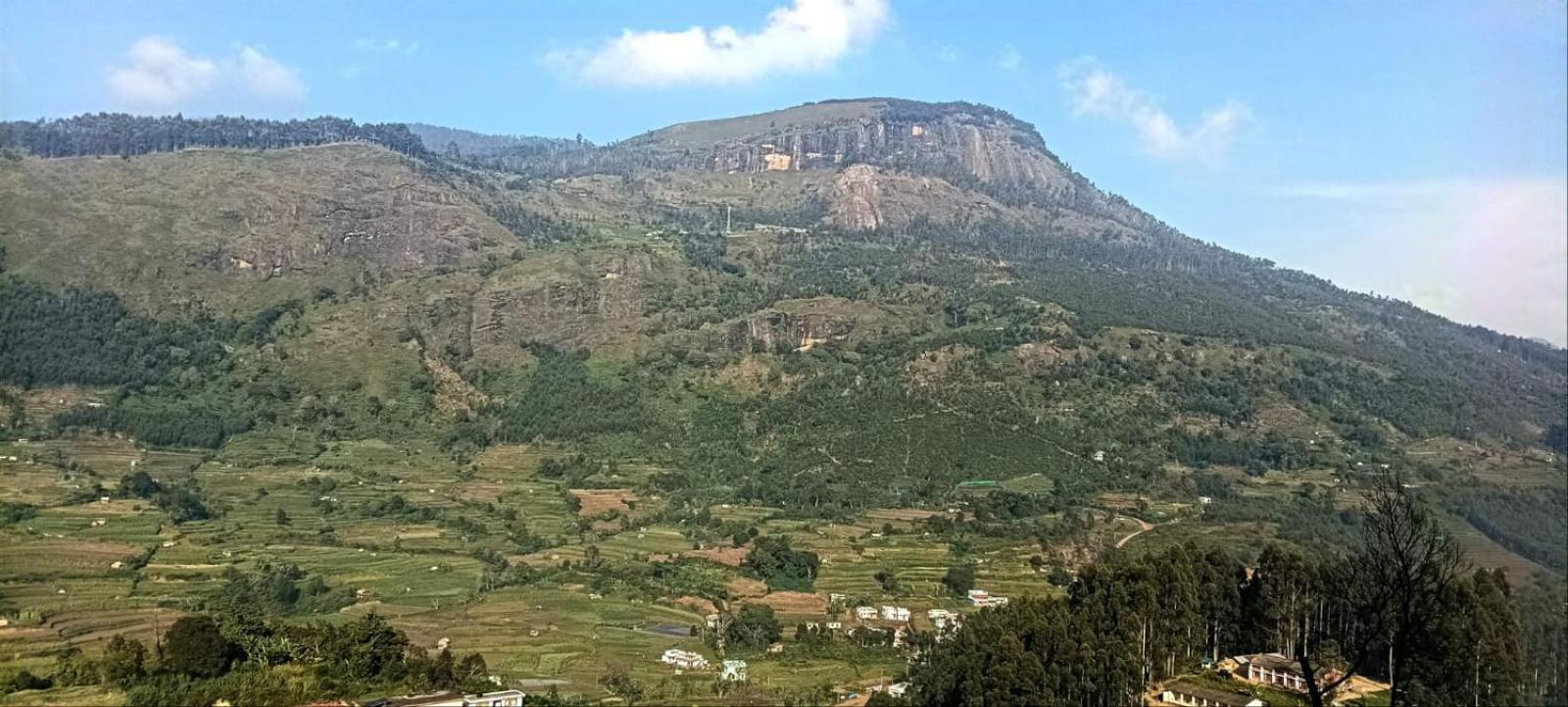 Misty Mountains Homes