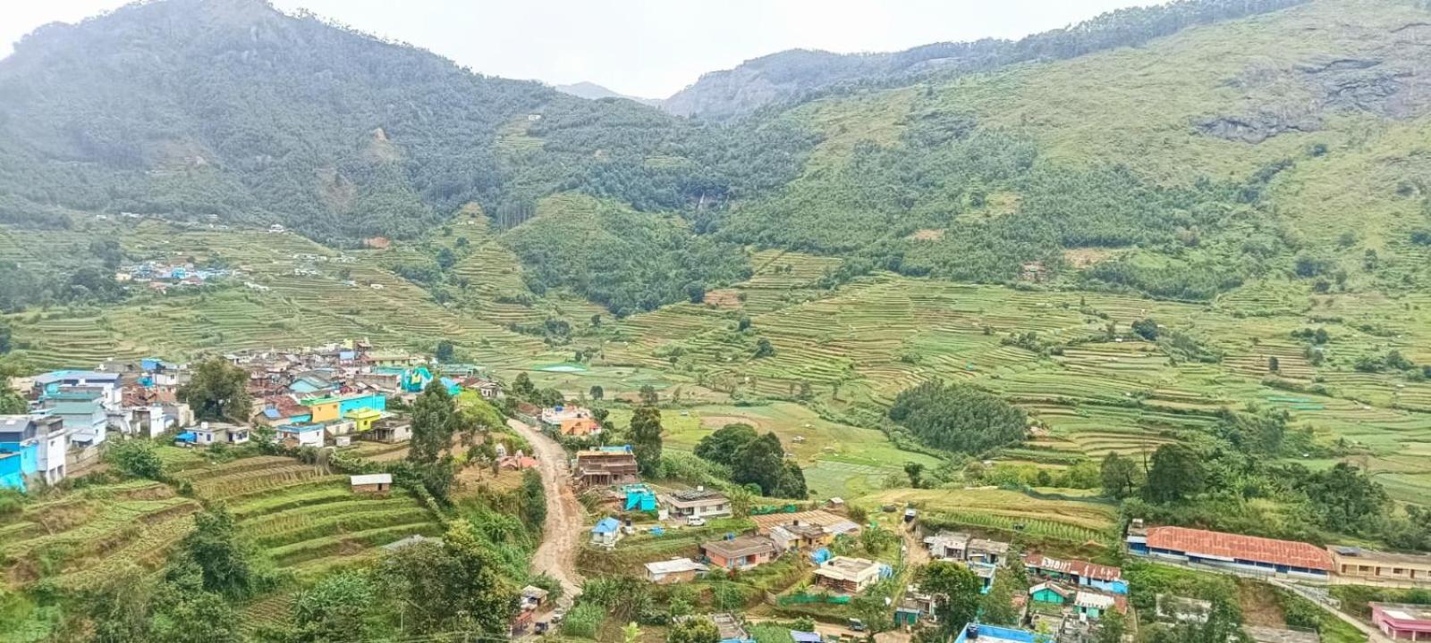 Misty Mountains Homes