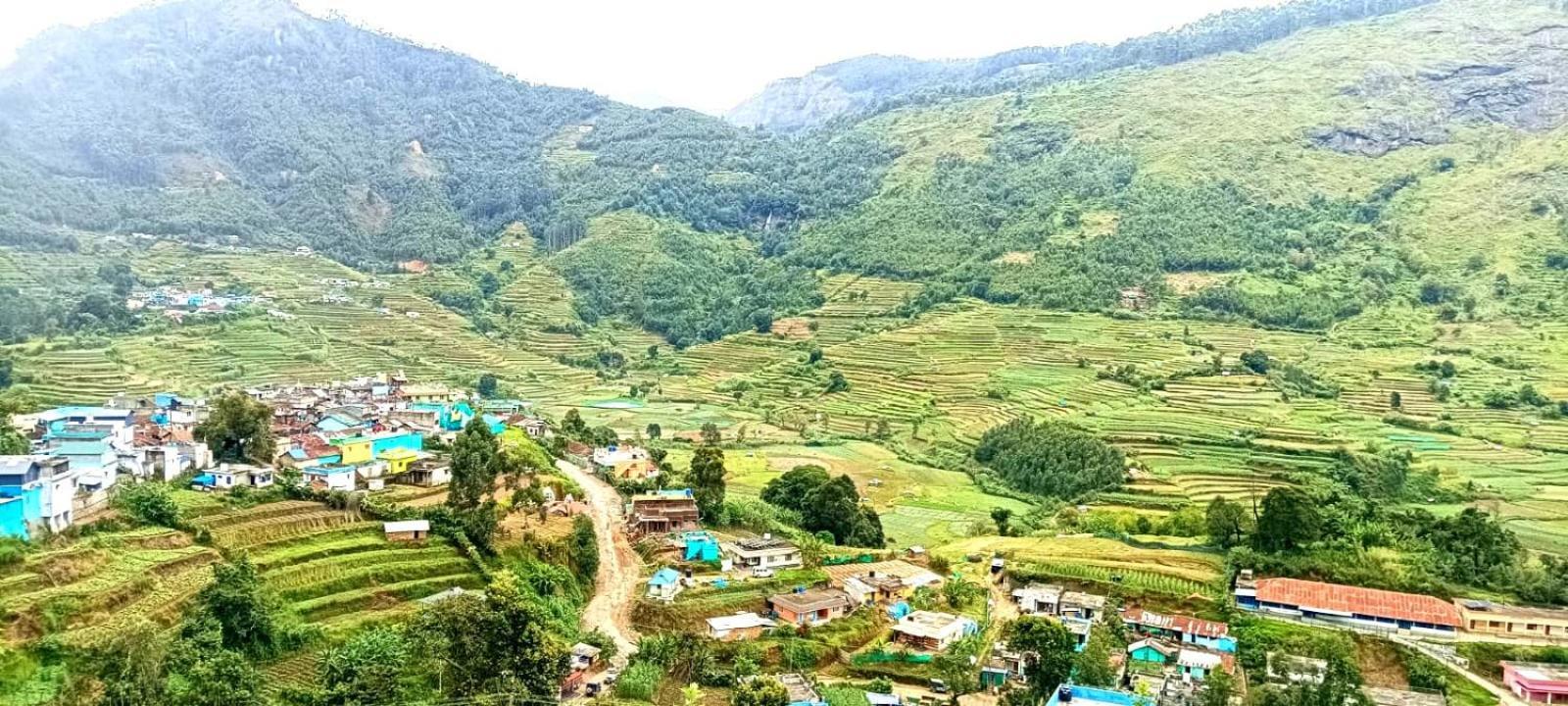 Misty Mountains Homes